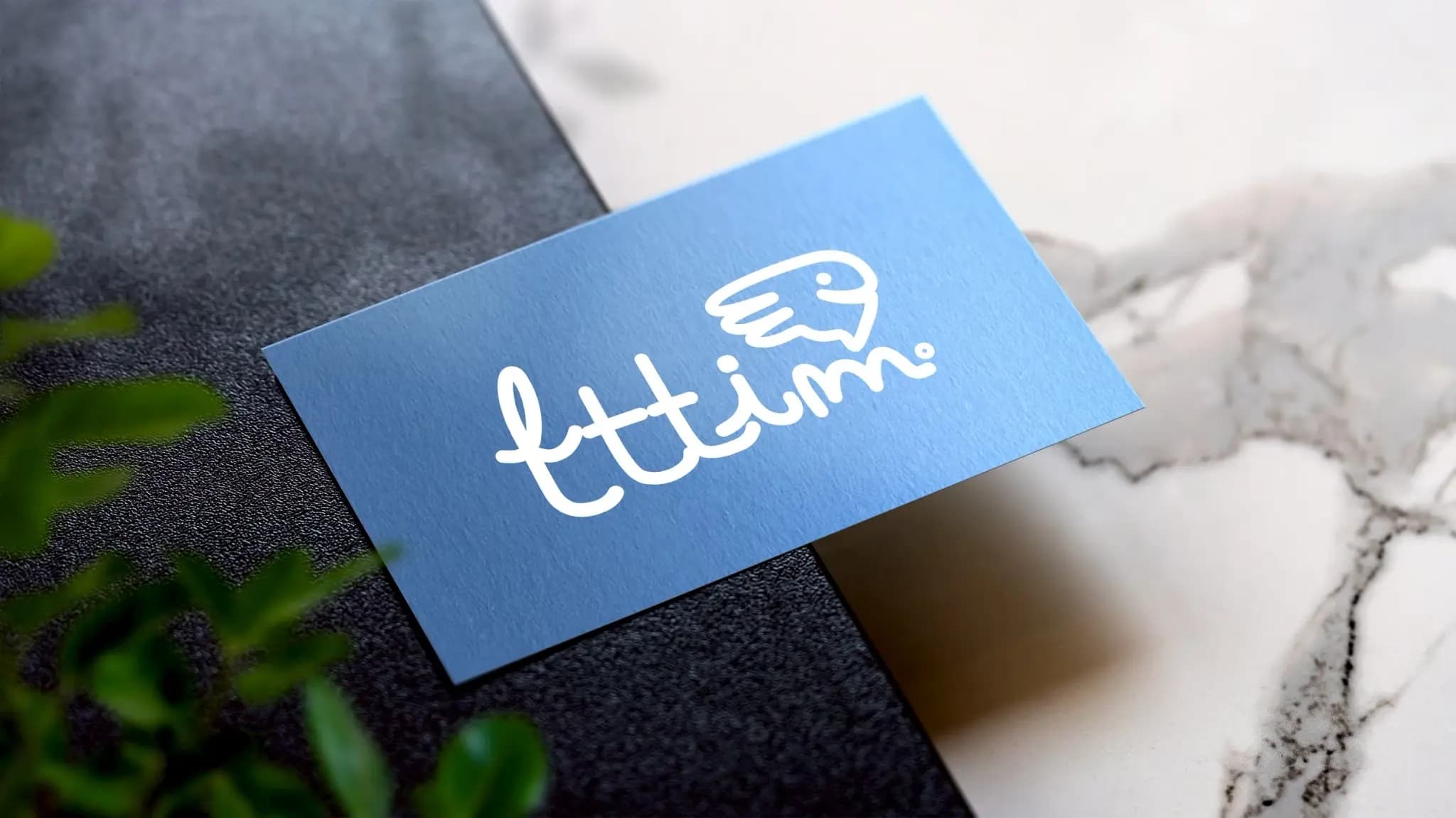 飛是藍 fttim